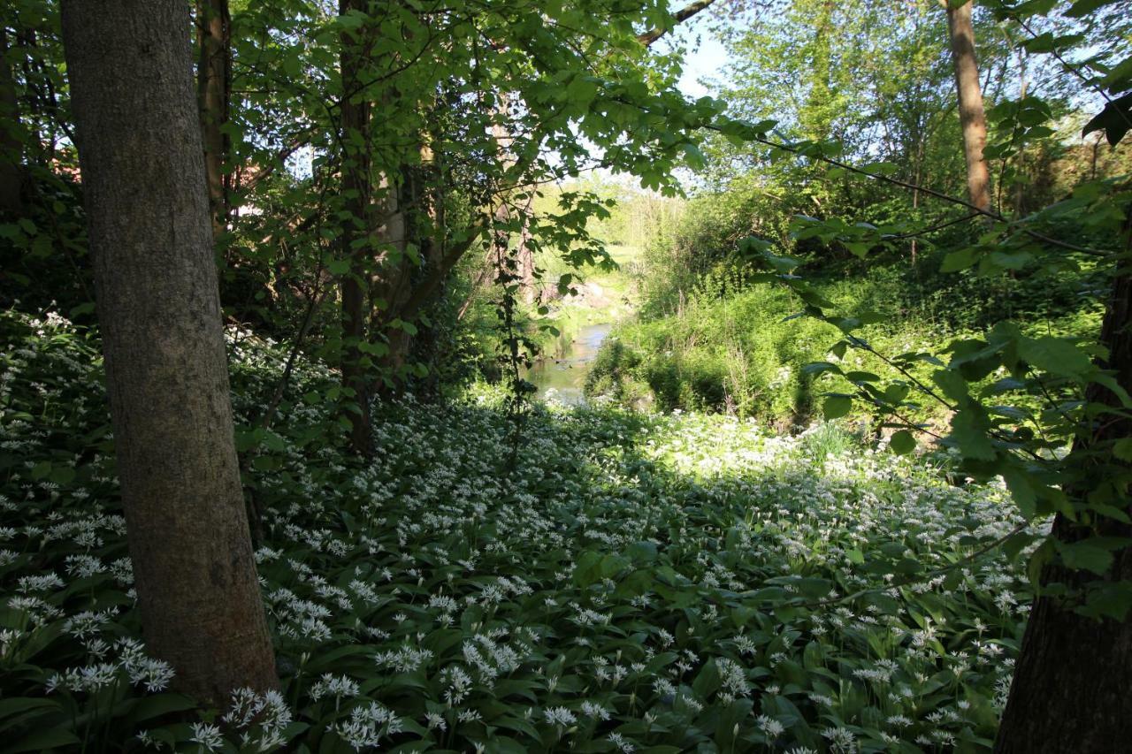 Pitchounette Chaumont-Gistoux Eksteriør billede
